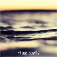 Nature Sounds