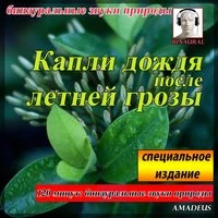 бинауральные звуки природы: Капли дождя после летней грозы: специальное издание