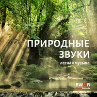 Звуки природы