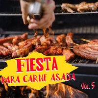 Fiesta Para Carne Asada Vol. 5