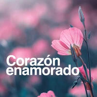 Corazón Enamorado