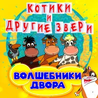 Котики и другие звери