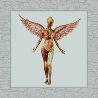 In Utero