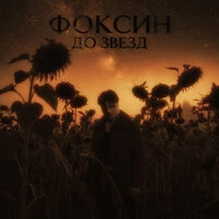 До звезд