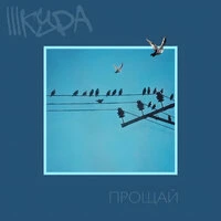 Прощай