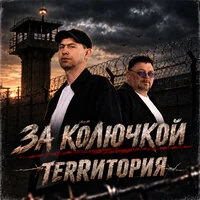 За колючкой