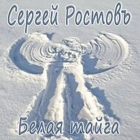 Белая тайга