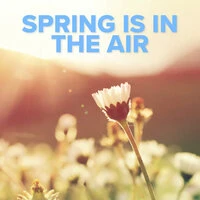 Spring Is In The Air