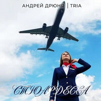 Стюардесса