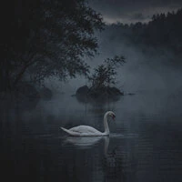 Night secrets