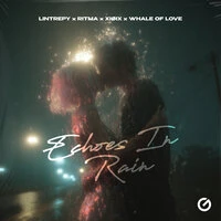 Echoes in Rain