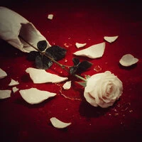 Fragments