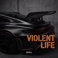 Violent Life