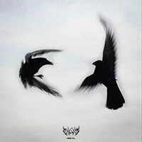 RAVEN CLAW