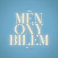 Men Ony Bilem