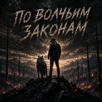 По волчьим законам