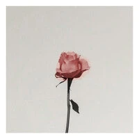 Mariage D'amour (Spring Waltz)