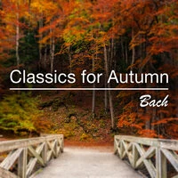 Classics for Autumn: Bach
