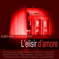 Donizetti: L'elisir d'amore