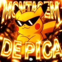 MONTAGEM DE PICA