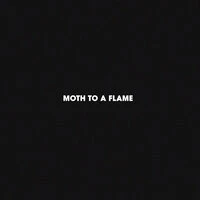 Moth To A Flame