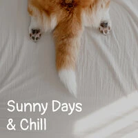 Sunny Days & Chill