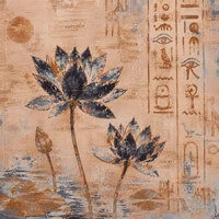 Lotus Dawn