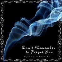 Can't Remember to Forget You - Single