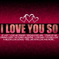 I Love You So