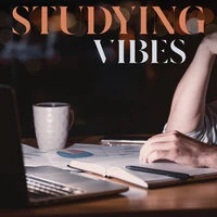 Studying Vibes