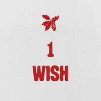 1 Wish