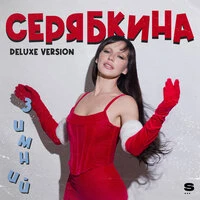Зимний