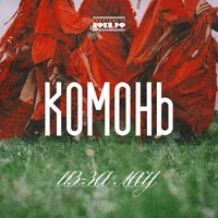 Из-за лесу