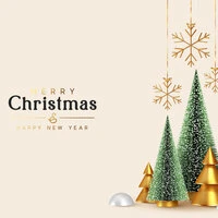 Merry Christmas & Happy New Year