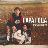 Пара года