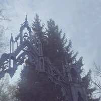 Black Realm