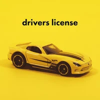 Drivers License