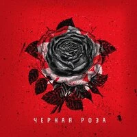 Чёрная роза