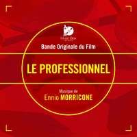 Le professionnel