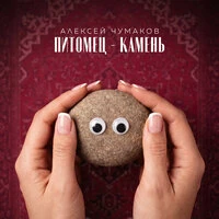 Питомец-камень