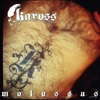Molossus