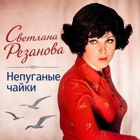 Непуганые чайки