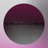 The Wreck of S.S. Needle