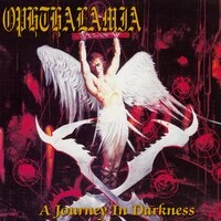 A Journey in Darkness