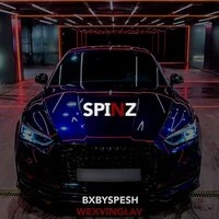 SPINZ