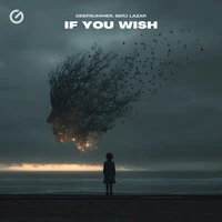 If You Wish