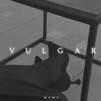 Vulgar