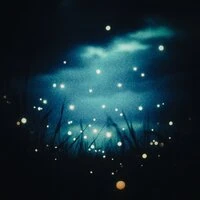 Fireflies