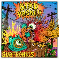 Bird Phone
