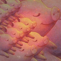 Snout